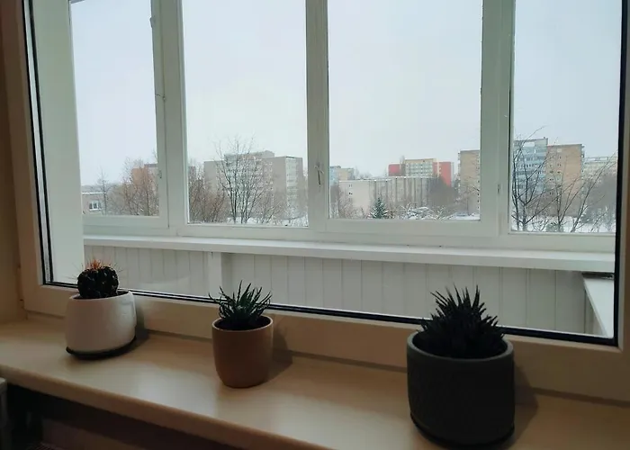 Cozy Baltic Nest Appartamento